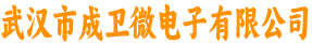 武汉市成卫微电子有限公司